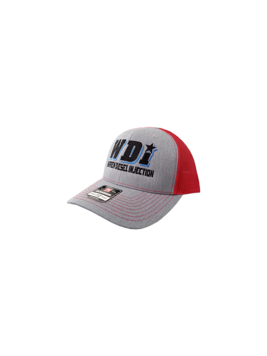 WDI Snapback Hat