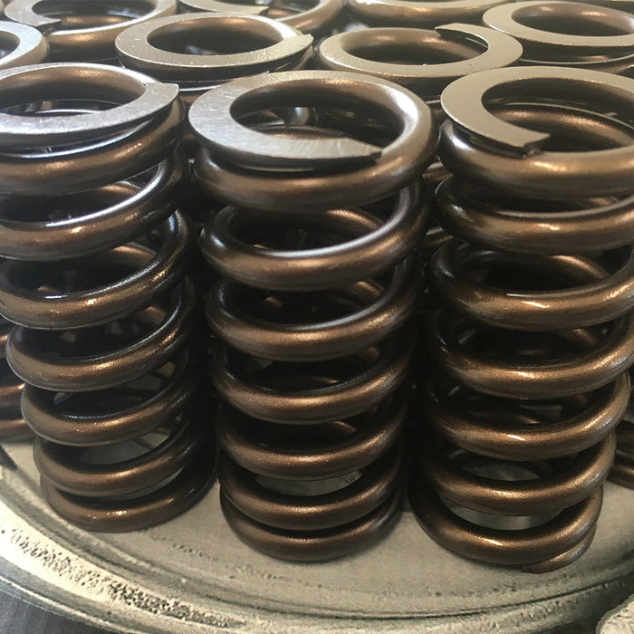 6.0 Powerstroke  High Rev Valve Spring Set